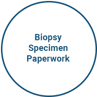 Biopsy-Specimen-Paperwork-Hover